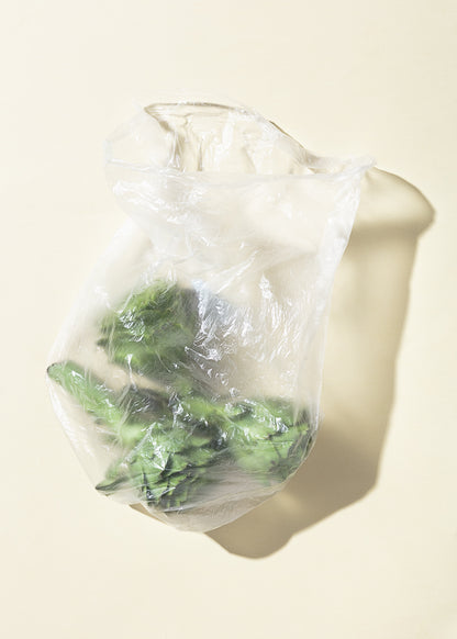 Artichokes and Plastic Bag