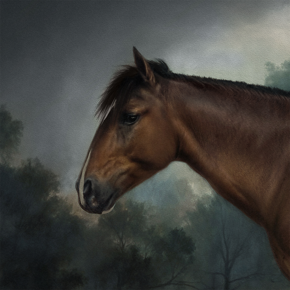 Demetrio de Cauquenes