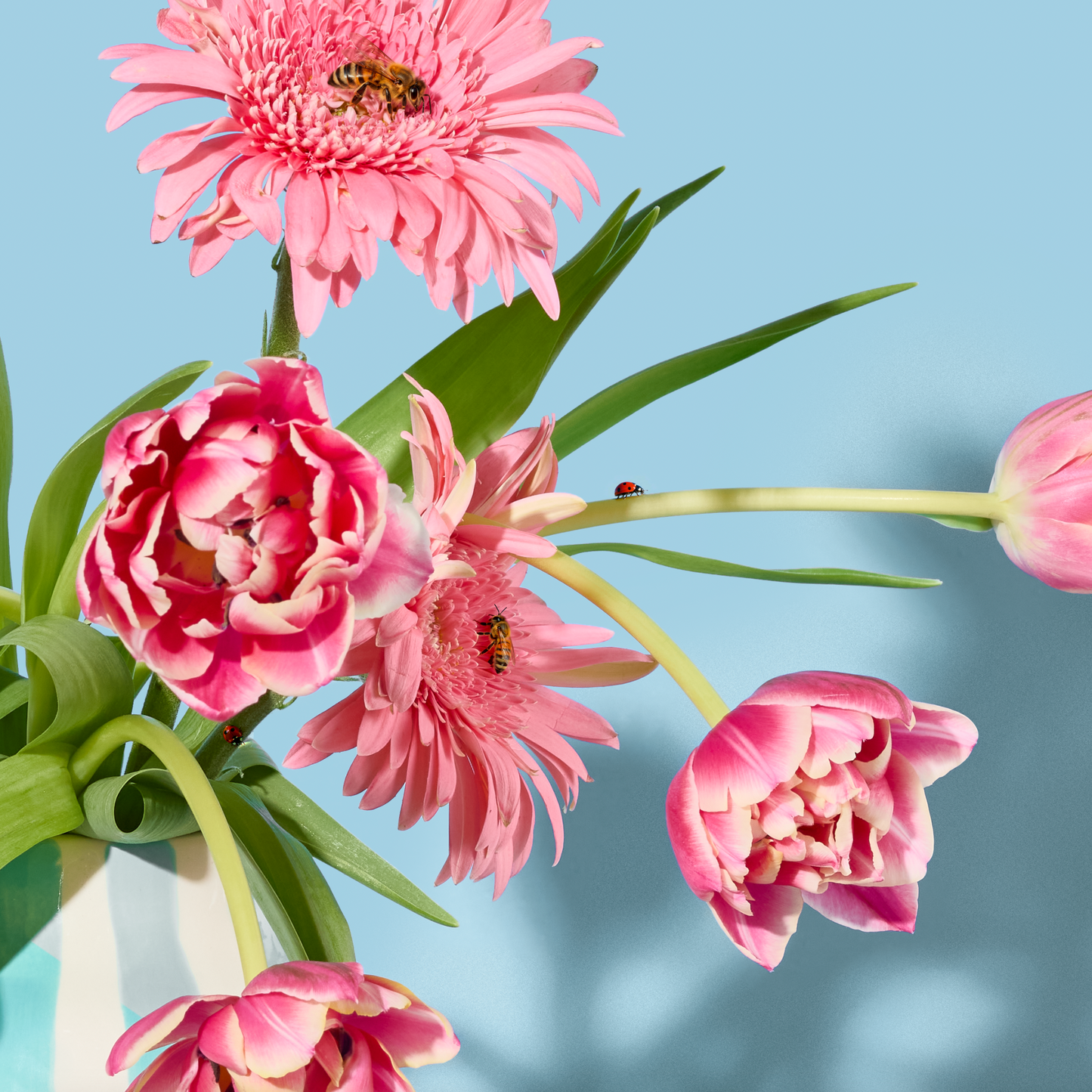 Flowers and Insects