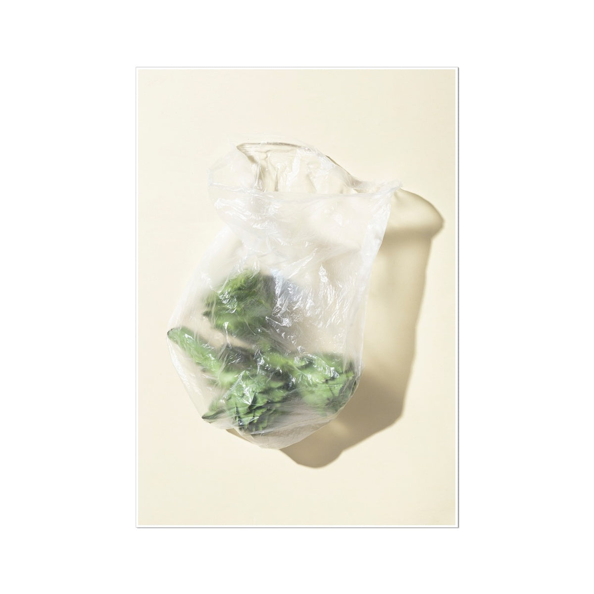 Artichokes and Plastic Bag